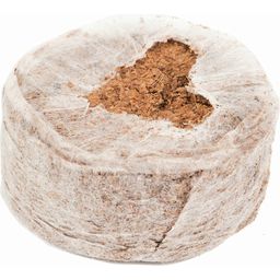 Paul Potato Coconut Soil Pot