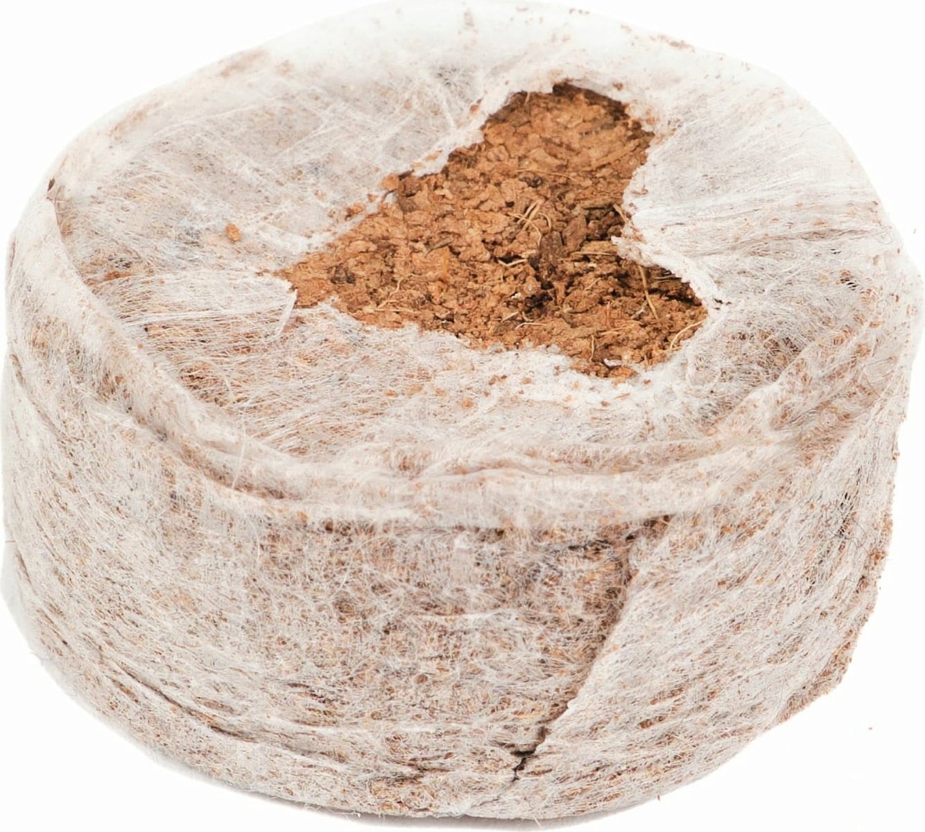 Paul Potato Coconut Soil Pot