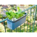 Paul Potato Harry Herbs Herb Pot - No Lid - blue