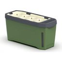 Paul Potato Harry Herbs Herb Pot - with Lid - dark green