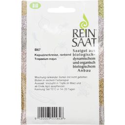 ReinSaat Nasturtium - Rambling - 1 Pkg