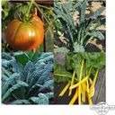 Organic Old Historical Vegetables - Seed Set - Seed Set