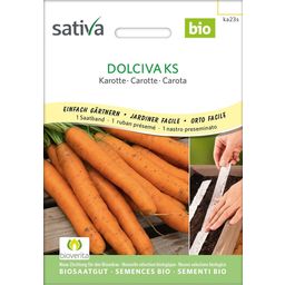 Zanahoria Bio en Cinta de Semillas - Dolciva Ks