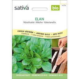 Sativa Mâche Bio "Elan" | Ruban Présemé
