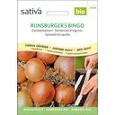 Semillas de Cebolla Bio en Cinta de semillas - Rijnsburger 5 Bingo