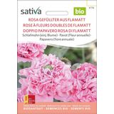 Sativa Bio "Rózsaszín, Flamatt" kerti mák