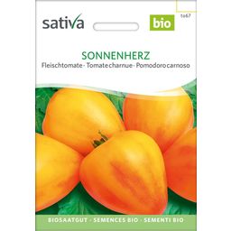 Sativa Tomate Charnue Bio "Sonnenherz"