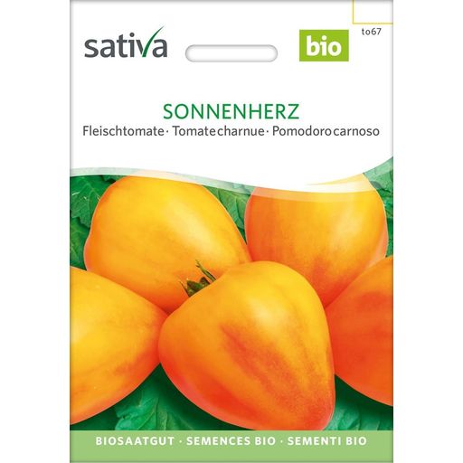 Sativa Bio Fleischtomate, Sonnenherz