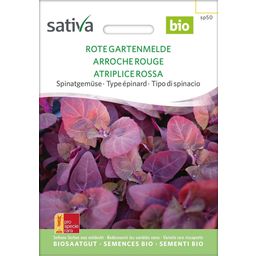 Sativa Bio Łoboda ogrodowa, Rote Gartenmelde