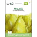 Sativa Bio Cykoria, Macun Ks