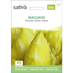 Sativa Biologische Witlof, Macun Ks