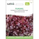 Sativa Bio Eichblatt rot, Pumukel