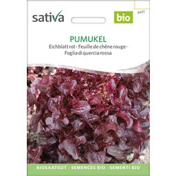 Sativa Bio Czerwona sałata dębolistna, Pumukel
