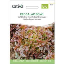 Bio Czerwona sałata dębolistna, Red Salad Bowl