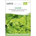 Sativa Bio Sałata, Valdor
