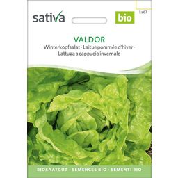 Sativa Bio Winterkopfsalat, Valdor