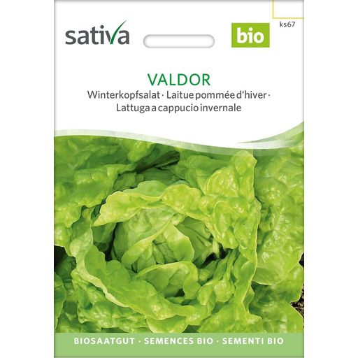 Sativa Bio Winterkopfsalat, Valdor