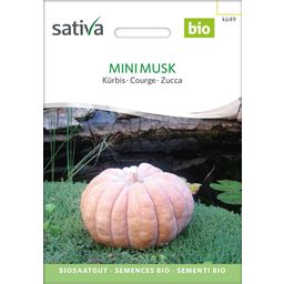 Sativa Biologische Pompoen - Mini Musk
