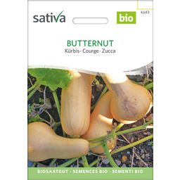 Sativa Ekologisk Pumpa, Butternut