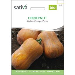 Sativa Biologische Pompoen - Honeynut