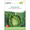 Sativa Bio savojsko zelje 