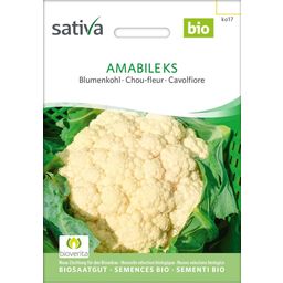 Sativa Chou-Fleur Bio "Amabile Ks"