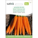 Sativa Zanahoria, Selección (Sg 103) Bio