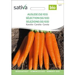 Sativa Biologische Wortel, Selectie (Sg 103)