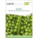 Sativa Guisante Enano Bio - Buddy