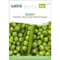 Sativa Bio Markerbse, Buddy