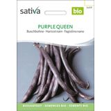 Sativa Haricot Nain Bio "Purple Queen"