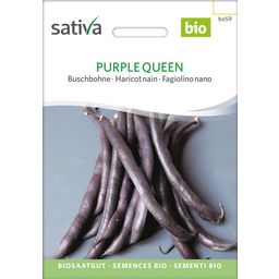 Sativa Bio grmičasti fižol Purple Queen