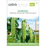 Sativa Petit Pois à Grains Ridés Bio "Gloriosa"
