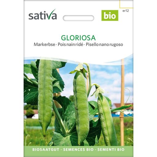 Sativa Bio Markerbse, Gloriosa