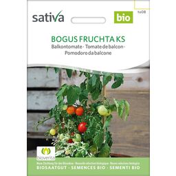 Sativa Bio pomidory balkonowe, Bogus Fruchta Ks