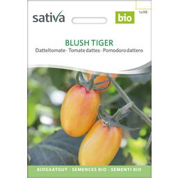 Sativa Tomate Datte Bio "Blush Tiger"