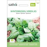 Sativa Épinard Bio "Winterriesen -Verdil Ks"
