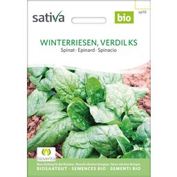 Sativa Bio Spinat, Winterriesen, Verdil Ks