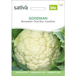 Sativa Chou-Fleur Bio "Goodman"