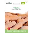 Sativa Bio dynia, Violina
