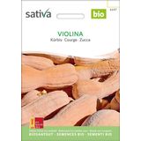 Sativa Bio Kürbis, Violina