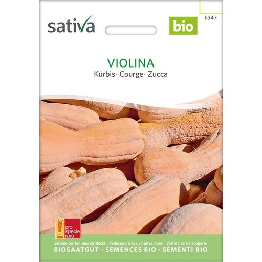 Sativa Bio Kürbis, Violina