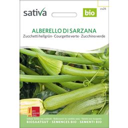 Courgette Verte Bio "Alberello di Sarzana"