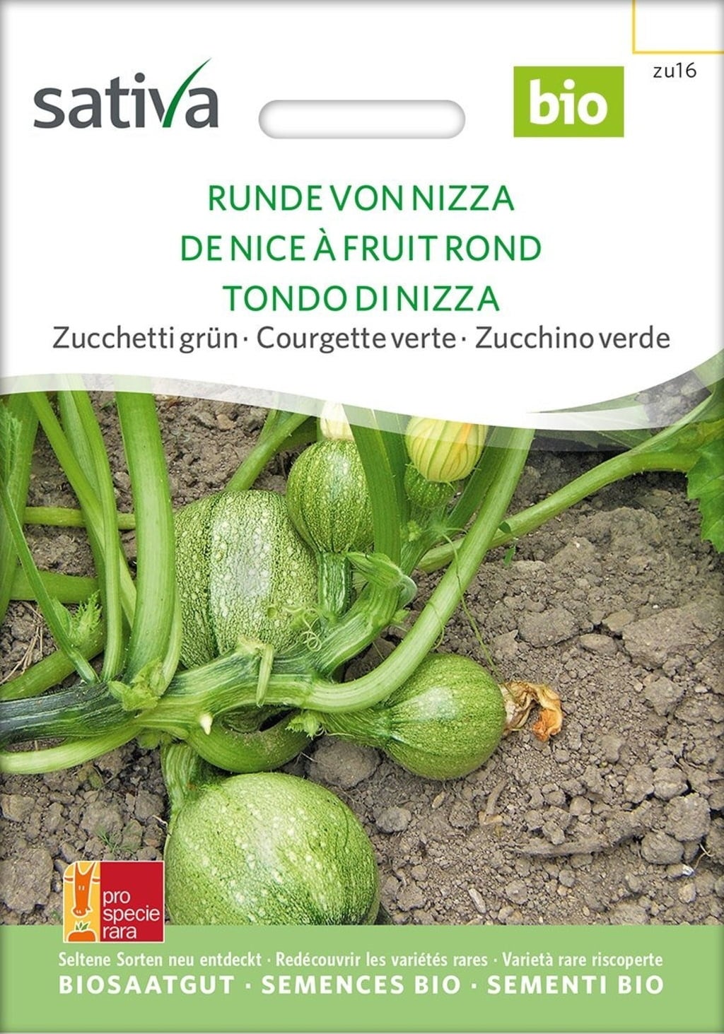 Courgette Verte Bio 