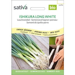 Bio cebula siedmiolatka - Ishikura Long White, nasiona na taśmie