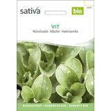Sativa Mâche Bio "Vit"