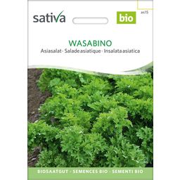 Sativa Bio azijska solata "Wasabino"
