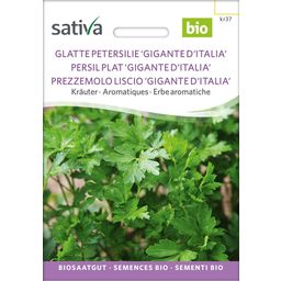 Sativa Persil Plat Bio "Gigante D'Italia"