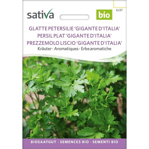 Sativa Bio Glatte Petersilie 