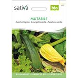 Sativa Ekologisk Grön Zucchini "Mutabile"